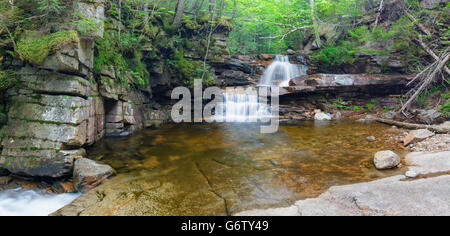 Bemis Brook scende lungo il torrente Bemis in Harts Ubicazione, New Hampshire USA durante i mesi primaverili. Foto Stock