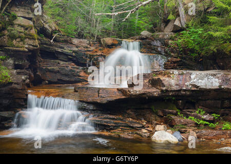 Bemis Brook scende lungo il torrente Bemis in Harts Ubicazione, New Hampshire USA durante i mesi primaverili. Foto Stock