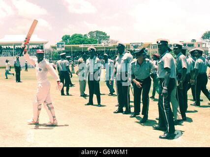 CRICKET Lara 1 Foto Stock