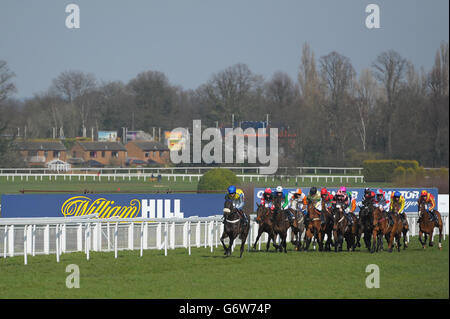 Il marchio William Hill durante la William Hill Imperial Cup Day presso l'ippodromo di Sandown Park, Sandown. PREMERE ASSOCIAZIONE foto. Data immagine: Sabato 8 marzo 2014. Guarda la storia di PA CHE CORRE Sandown. Il credito fotografico dovrebbe essere: Tim Ireland/PA Wire Foto Stock