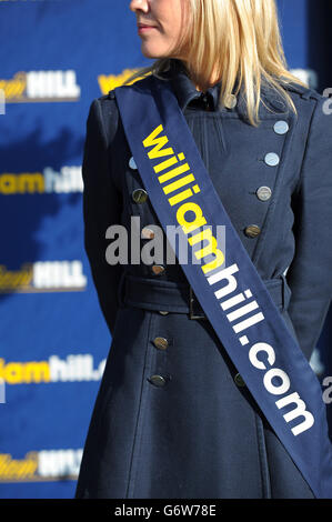 Horse Racing - William Hill Imperial Cup giorno - Sandown Park Racecourse Foto Stock