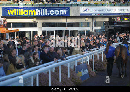 Il marchio William Hill durante la William Hill Imperial Cup Day presso l'ippodromo di Sandown Park, Sandown. PREMERE ASSOCIAZIONE foto. Data immagine: Sabato 8 marzo 2014. Guarda la storia di PA CHE CORRE Sandown. Il credito fotografico dovrebbe essere: Tim Ireland/PA Wire Foto Stock