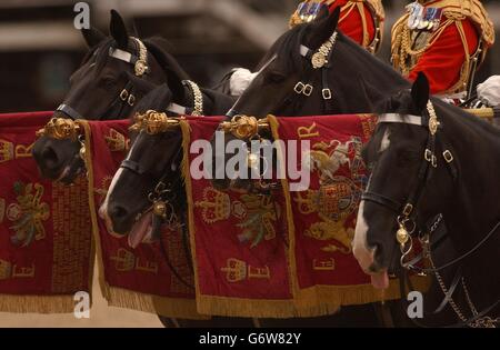 Cavalli dei bagnini Squadron della Casa Cavalleria reggimento montato con guide presentate durante la cerimonia Standard e Guidons sulla Parata dei guardie a Londra. Alla cerimonia ha partecipato HM la Regina in qualità di colonnello-in-Capo del Reggimento. Foto Stock