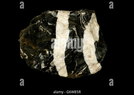 Calcare con vene di calcite, Maryland, cavato per rip-rap Foto Stock