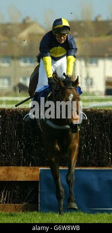 Mister McGoldrick guidato da Dominic Elsworth, continua a vincere la Ashleybank Investments Novices' Chase (Classe C) all'ippodromo di Ayr durante lo Scottish Grand National Festival. Tenuto ad Ayr dal 1966 (dopo la chiusura di Bogside), il Four Mile, una gara di caccia nazionale furlong è stato vinto nel 2003 da Ryalux, con il jocky Richard McGrath, pipping Tony McCoy su Stormez al posto. Foto Stock