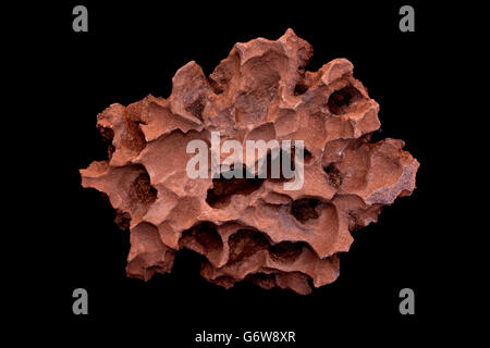 Weathered arenaria, Utah Foto Stock