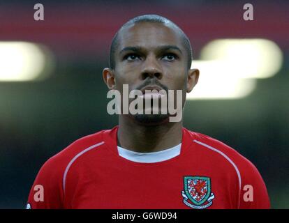 Galles calciatore internazionale Danny Gabbidon Foto Stock