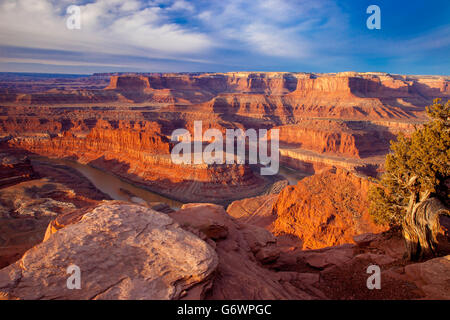 Alba sul fiume Colorado in Dead Horse Point State Park vicino a Moab, Utah, Stati Uniti d'America Foto Stock