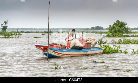 La raccolta di pesce sul Tonle Sap durante la stagione dei monsoni, vicino a Kampong Phluck, Cambogia Foto Stock