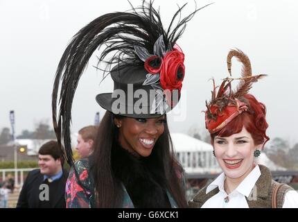 Horse Racing - 2014 Cheltenham Festival - Ladies Day - Cheltenham Racecourse Foto Stock