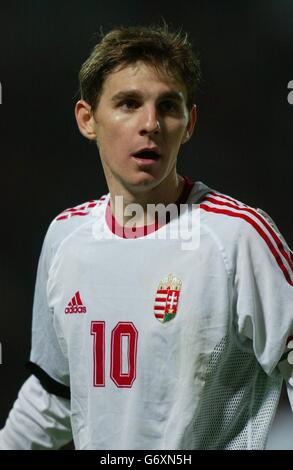 Zoltan Gera di Ungheria durante l'amichevole internazionale al Ference Puskas Stadium, Budapest. Foto Stock