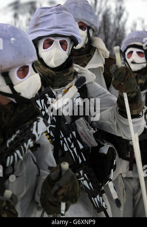 Marines formazione artico Foto Stock