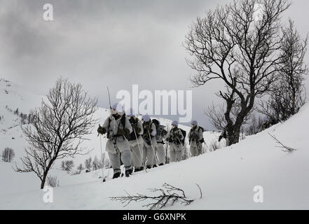 12/03/14 reservisti marini in pattuglia sulle colline di Harstad, Norvegia settentrionale, nel Circolo polare Artico, come parte del loro allenamento di sopravvivenza a basse temperature, dura due settimane. Foto Stock