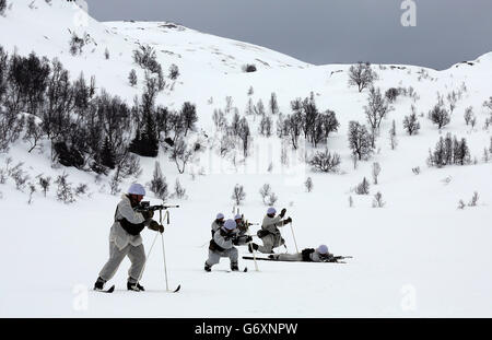 Marines formazione artico Foto Stock