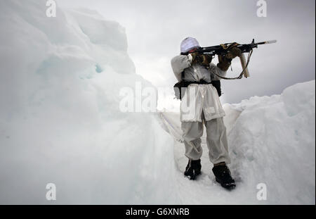 I reservists marini sulla pattuglia di sci nelle colline di Harstad, Norvegia del Nord, nel Circolo polare Artico come parte del loro addestramento di sopravvivenza di clima freddo dura due settimane. 12/03/2014. Foto Stock