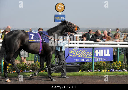 Corse ippiche - 2014 William Hill Lincoln - primo giorno - Ippodromo di Doncaster. I corridori osservano i cavalli nell'anello della parata Foto Stock