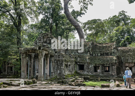 Ta Prohm, vista dal cancello ovest, vicino a Siem Reap, Cambogia Foto Stock