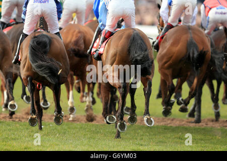 Corse ippiche - il Betfred Midlands Grand National - Ippodromo di Uttoxeter. Una visione generale in cui corridori e piloti gareggiano nella Betfred Midlands Grand National Chase Foto Stock