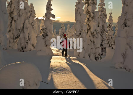 WASHINGTON - Cross-country sciatore al tramonto vicino alla cima della montagna Amabilis in Okanogan-Wenatchee National Forest. Foto Stock