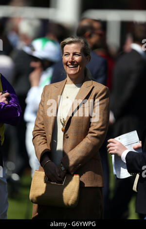 La Contessa di Wessex guarda il suo cavallo di proprietà congiunta Zilber durante il giorno uno del 2014 Craven Meeting presso Newmarket Racecourse, Newmarket. PREMERE ASSOCIAZIONE foto. Data immagine: Mercoledì 16 aprile 2014. Guarda la storia di PA SU Newmarket. Il credito fotografico dovrebbe essere: Steve Parsons/PA Wire Foto Stock