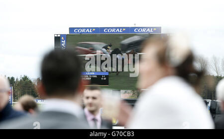 Corse ippiche - Coral Scottish Grand National - Day One - Ayr Racecourse. Vista sul grande schermo dell'ippodromo di Ayr. Foto Stock