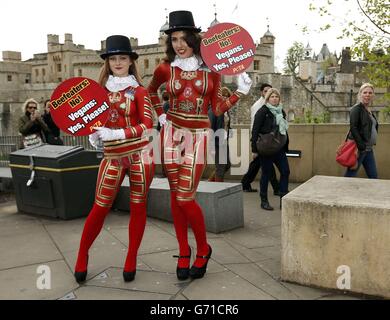 Pasti Meat-Free photocall Foto Stock