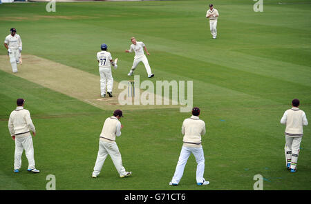 Matthew Dunn di Surrey celebra la presa del wicket del Monty Panesar di Essex per dargli cinque wickets Foto Stock