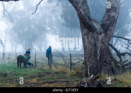 La mattina presto il paese a piedi con il cane e cavallo nella nebbia e gelo. Bassa visibilità Foto Stock