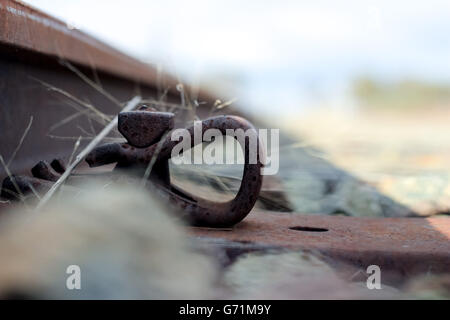 Close up di rusty linee ferroviarie attraversando un vecchio ponte di legno in una mattinata nebbiosa Foto Stock