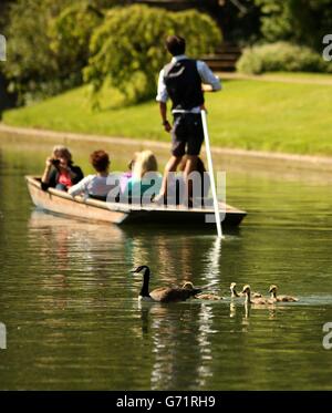 I turisti di Cambridge possono godersi un tour lungo il fiume Cam in città, in quanto questo fine settimana potrebbe vedere i britannici crogiolarsi al sole il giorno più caldo dell'anno finora. Foto Stock