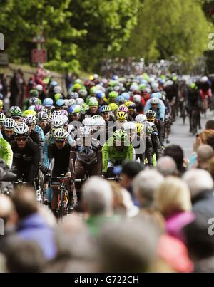 Il peloton si fa strada su Antrim passando Templepatrick durante la seconda fase del giro D'Italia 2014 a Belfast. Foto Stock