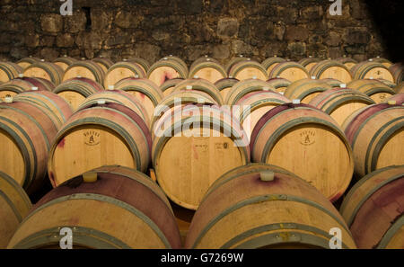 Invecchiamento del vino in botti di rovere in cantina a Bolzano, Bolzano, Trentino Alto Adige, Italia, Europa Foto Stock