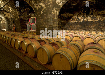 Invecchiamento del vino in botti di rovere in cantina a Bolzano, Bolzano, Trentino Alto Adige, Italia, Europa Foto Stock