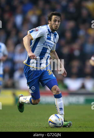 Calcio - Campionato Sky Bet - Play-Off - semifinale - prima tappa - Brighton and Hove Albion / Derby County - AMEX Stadium. Will Buckley, Brighton e Hove Albion Foto Stock