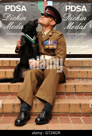 Postumi di PDSA Dickin Medal per cane dell'esercito Foto Stock