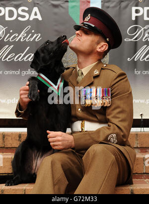 Il sergente maggiore Andy Dodds siede con il cane da lavoro dell'esercito in pensione Fire mentre indossa una replica della medaglia Dickin PDSA per il gallantry animale che è stata postuma assegnata al militare Working Dog Sasha che è stato ucciso in Afghanistan, durante un ricevimento a Londra ovest. Foto Stock