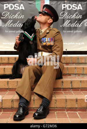 Il sergente maggiore Andy Dodds siede con il cane da lavoro dell'esercito in pensione Fire mentre indossa una replica della medaglia Dickin PDSA per il gallantry animale che è stata postuma assegnata al militare Working Dog Sasha che è stato ucciso in Afghanistan, durante un ricevimento a Londra ovest. Foto Stock