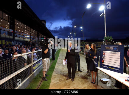Il Greyhound Racing - William Hill Derby - Quarti di Finale - Wimbledon Stadium Foto Stock