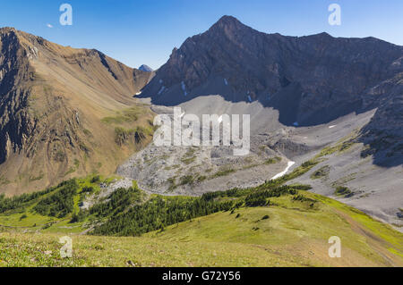 Prato alpino con aspre montagne nelle Montagne Rocciose Kananaskis Alberta Canada Foto Stock