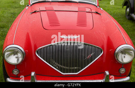 La parte anteriore di una Austin Healey Auto sportiva Foto Stock