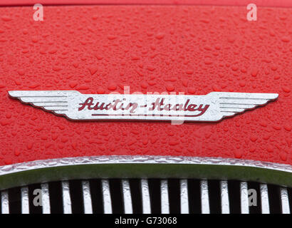 La parte anteriore di una Austin Healey Auto sportiva Foto Stock