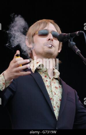 Il frontman della Divine Comedy, Neil Hannon, suonando al Festival di Oxegen, all'ippodromo di Punchestown, Co Kildare, Irlanda. Si stima che circa 60,000 persone parteciperanno al più grande festival musicale annuale d'Irlanda, di cui circa 48,000 partecipanti. Circa 100 band si esibiranno nel corso di due giorni, tra cui la band newyortk, i Strokes e la band inglese The Darkness. Foto Stock