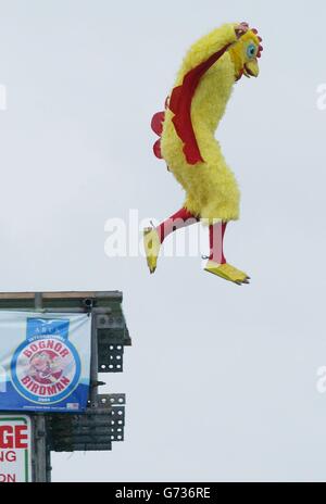 Il presentatore televisivo del Really Wild Show Stephen Backshall salta fuori dal molo di Bognor Regis vestito da pollo, durante l'evento Arun International Bognor Birdman 2004 a Bognor Regis, West Sussex. Foto Stock