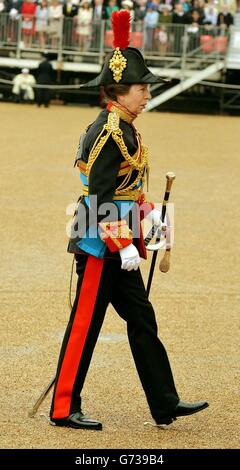 La Principessa Royal arriva a vedere la Regina Elisabetta II mentre presenta la Cavalleria domestica con nuovi standard a Horse Guards Parade, Londra. Foto Stock