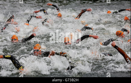 Concorrenti durante la nuotata all'inizio della Mens Elite Race durante il PruHealth World Triathlon di Londra. Foto Stock