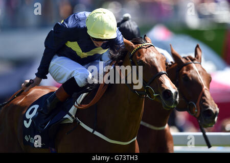 Horse Racing - Investec Ladies Day 2014 - ippodromo di Epsom Downs Foto Stock