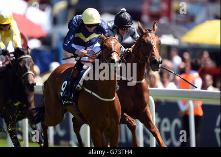 Horse Racing - Investec Ladies Day 2014 - ippodromo di Epsom Downs Foto Stock