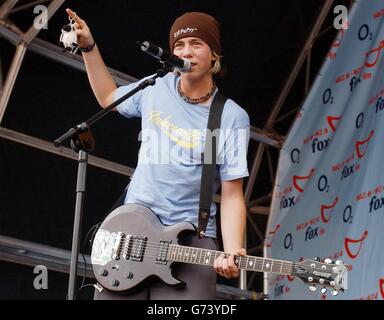 James Bourne - Fox partito FM nel Parco Foto Stock