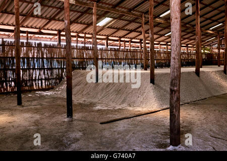 Sale di storage di allevamento sparso in Samut Sakhon, Thailandia. Foto Stock