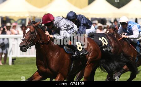 Toronado guidato dal fantino Richard Hughes sulla sua strada per vincere la regina Anne Stakes durante il giorno uno del Royal Ascot Meeting 2014 all'ippodromo di Ascot, Berkshire. Foto Stock